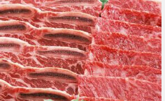 肉片機、肉絲機