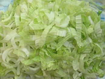 STW-805葉菜類切菜機配圖2