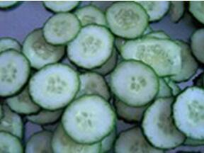 STW-806大型切菜機